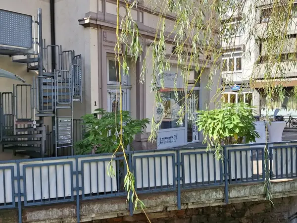 Schaufenster eines Hörgeräteakustikers am Kanal, mit Weidenzweigen im Vordergrund